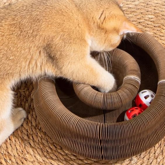 猫 おもちゃ 魔法の風琴 猫じゃらし遊具