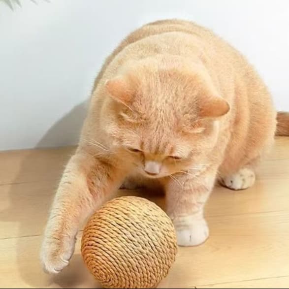 猫 おもちゃ 【響く音色】鈴入り麻縄ボール