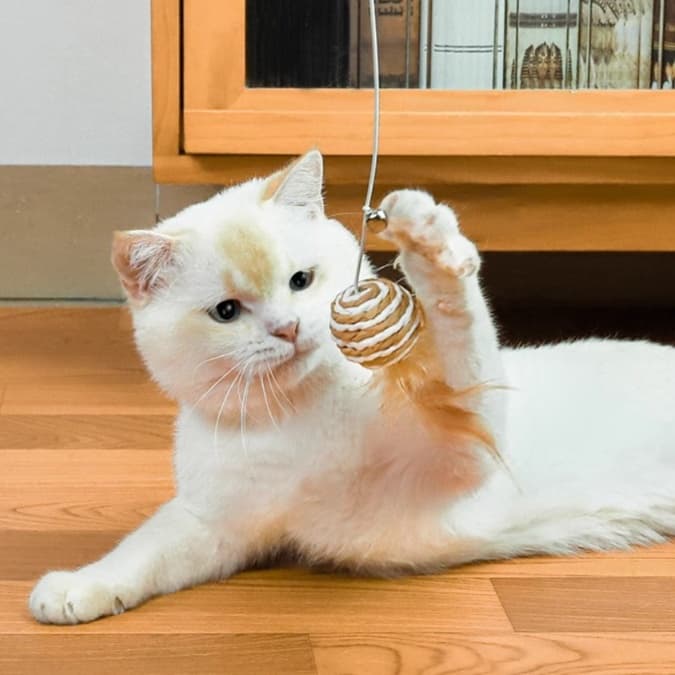 猫 おもちゃ 優しい手触り 天然素材の猫じゃらし棒セット