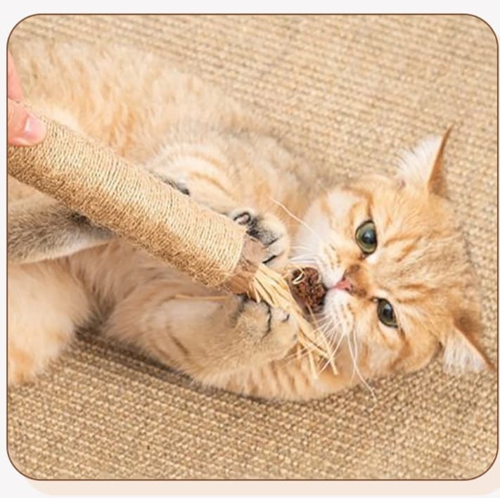 猫 おもちゃ 天然素材の歯磨き効果付き猫じゃらし棒