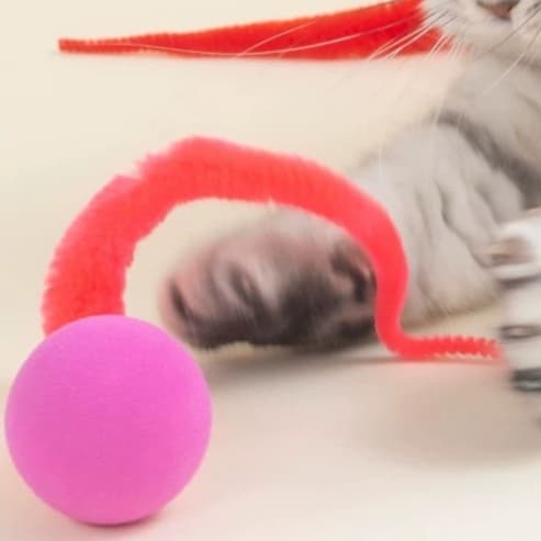 猫 おもちゃ 弾むくねくね猫じゃらし