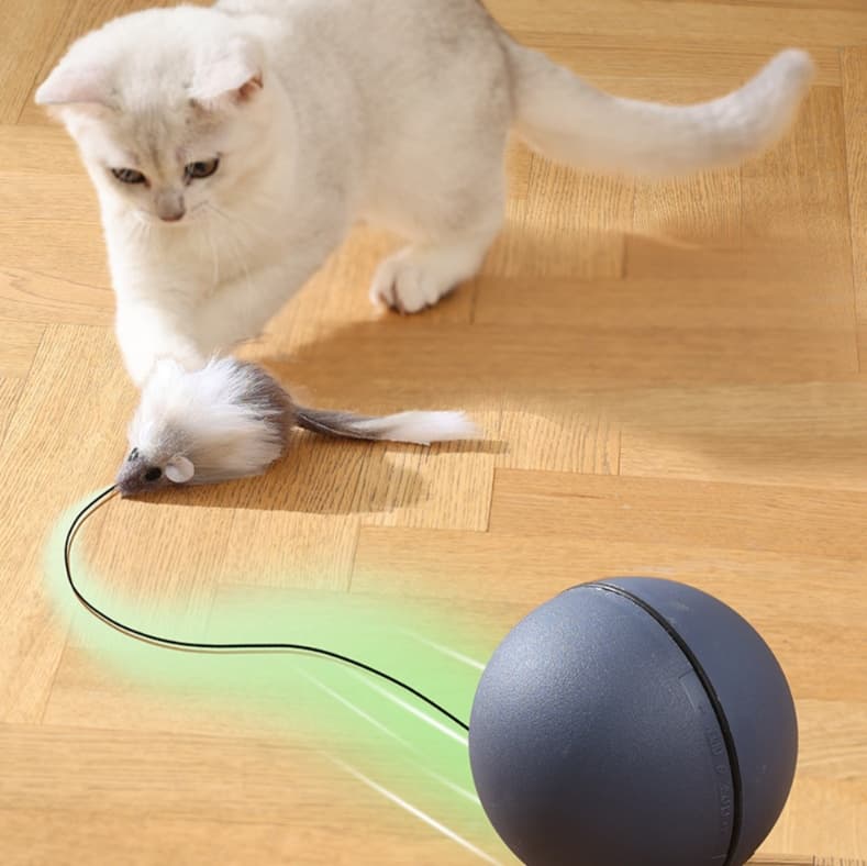 猫 おもちゃ 自動回転式もちゃもちゃ猫じゃらし