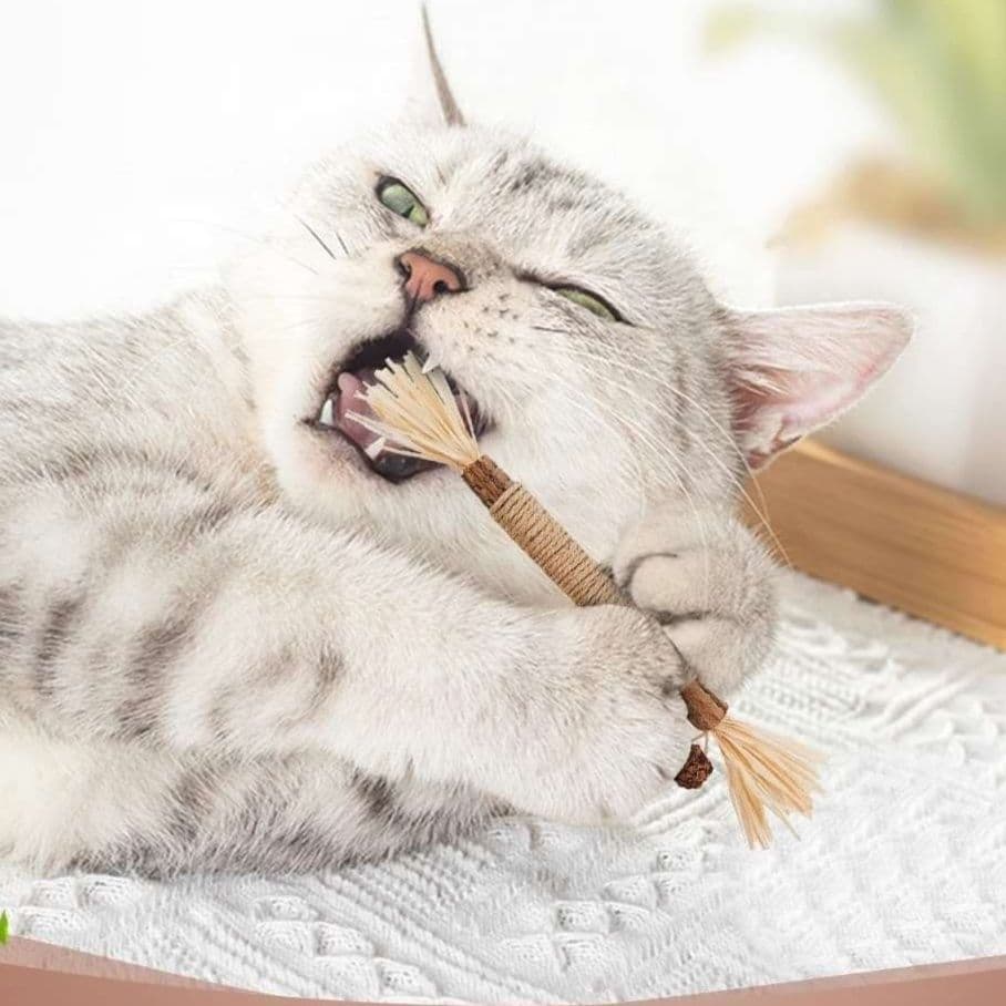 猫 おもちゃ 猫ちゃんの歯磨き遊び棒