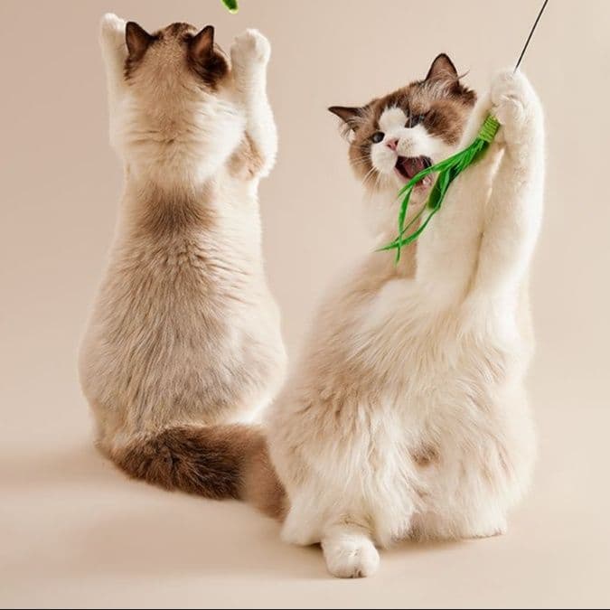 猫 おもちゃ もふもふ癒やし棒 じゃれ猫の友