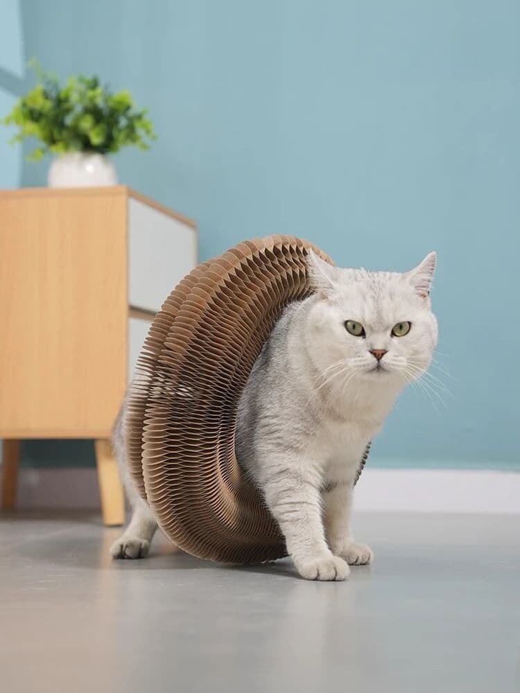猫 おもちゃ くるくる変形 風車じゃらし