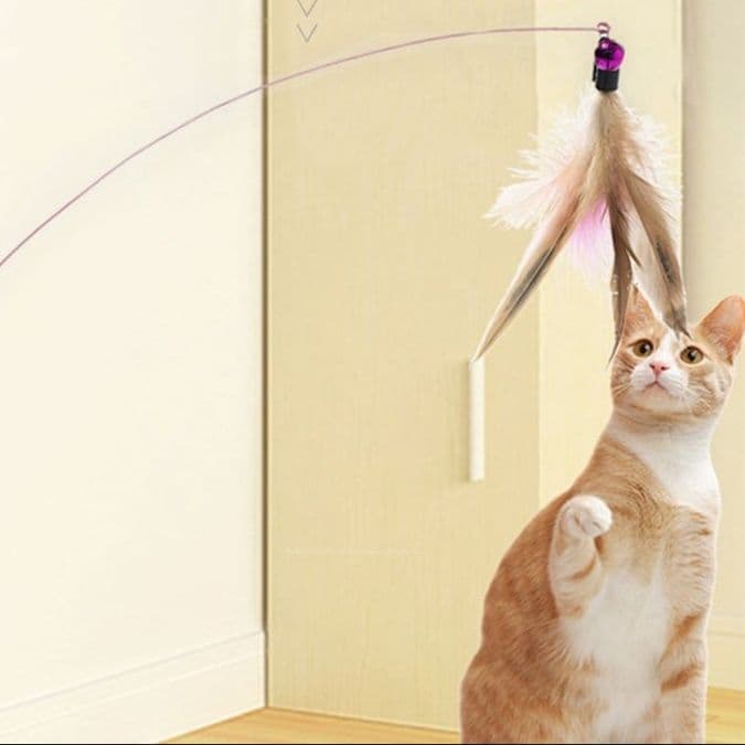 猫 おもちゃ 羽根付き仙人の杖 猫じゃらし