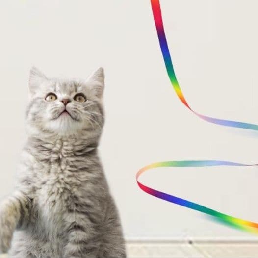 猫 おもちゃ 優雅な長さの おてて遊び猫じゃらし