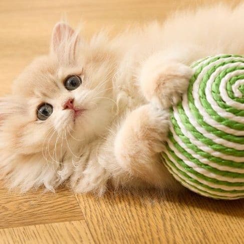 猫 おもちゃ 麻紐ボール型の猫じゃらし