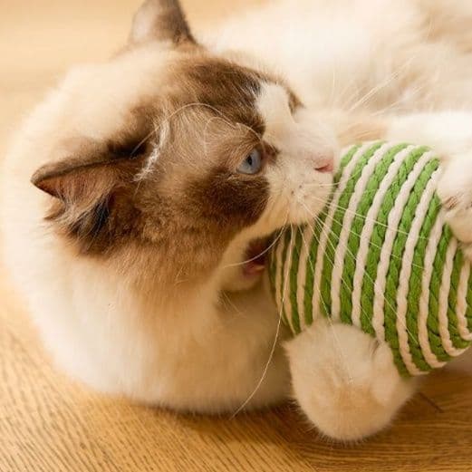 猫 おもちゃ 麻紐ボール型の猫じゃらし