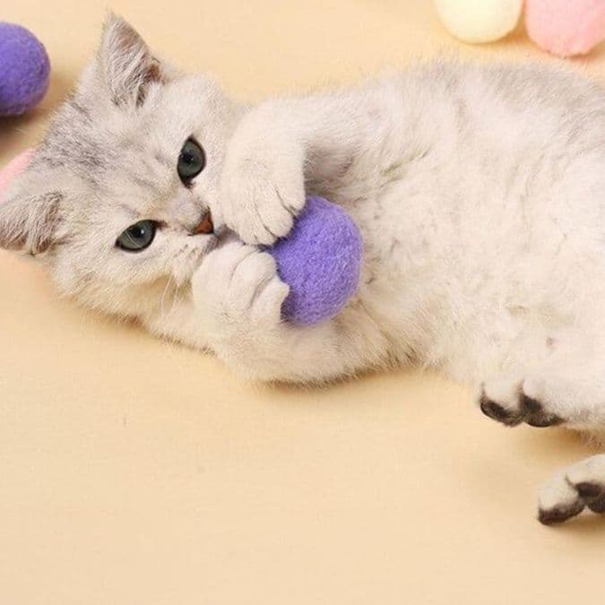 猫 おもちゃ ふわもこ毛玉ころころ猫じゃらし