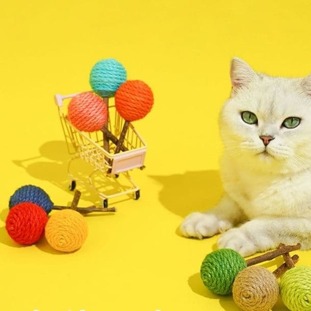 猫 おもちゃ 天然歯磨き 猫じゃらし