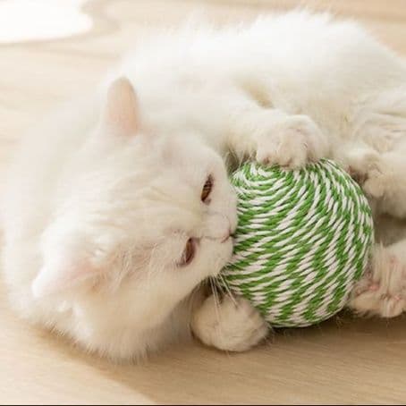 猫 おもちゃ ふわもこ鈴音ボール