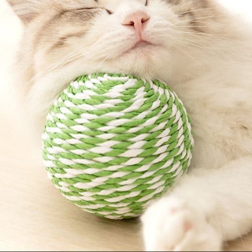 猫 おもちゃ ふわもこ鈴音ボール