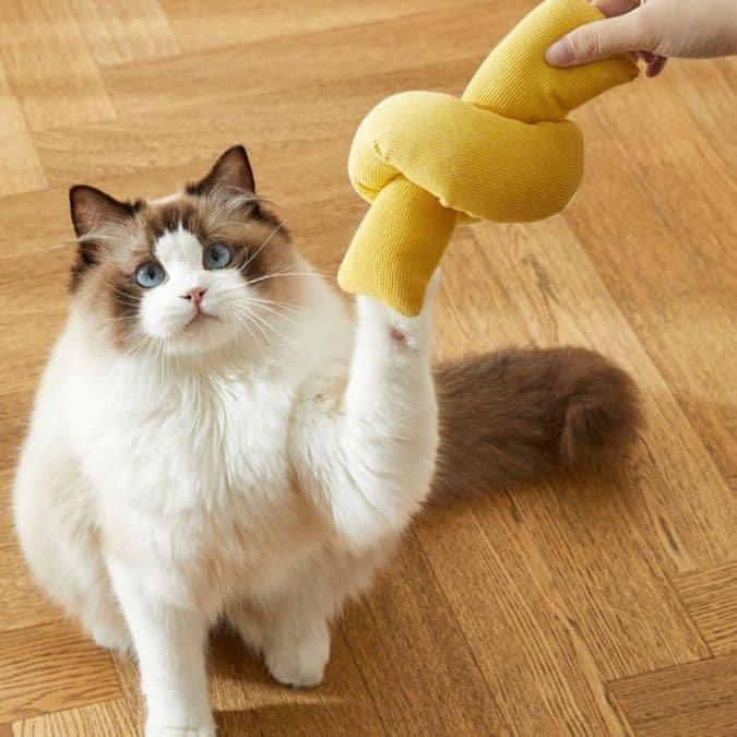 猫 おもちゃ むにゅむにゅ薄荷の蹴りぐるみ