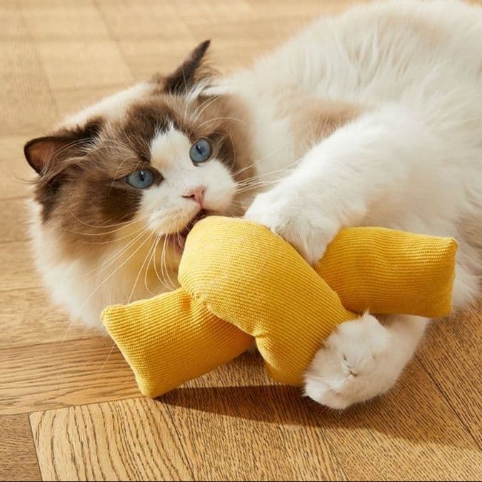 猫 おもちゃ むにゅむにゅ薄荷の蹴りぐるみ