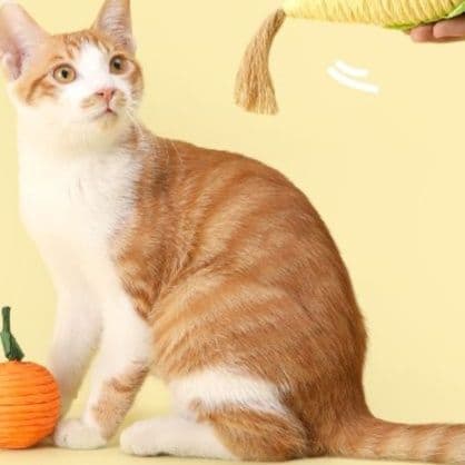 猫 おもちゃ やさい・くだもの猫じゃらし手作り細工