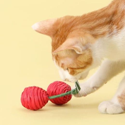 猫 おもちゃ やさい・くだもの猫じゃらし手作り細工