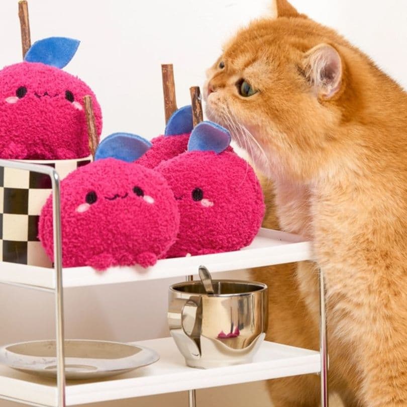 猫 おもちゃ もふもふおやつ遊びじゃらし
