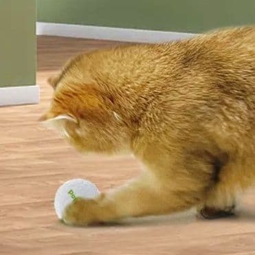猫 おもちゃ もみもみ光る球 猫じゃらし