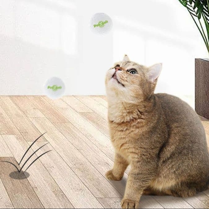 猫 おもちゃ もみもみ光る球 猫じゃらし