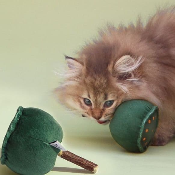 猫 おもちゃ 開運蓮の実 猫じゃらし