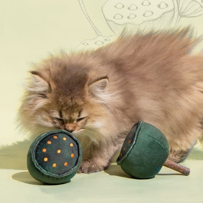猫 おもちゃ 開運蓮の実 猫じゃらし