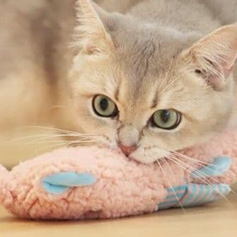 猫 おもちゃ もふもふぬいぐるみ猫じゃらし
