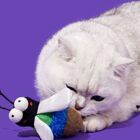 猫 おもちゃ むし型の猫じゃらし 遊びがいっぱい