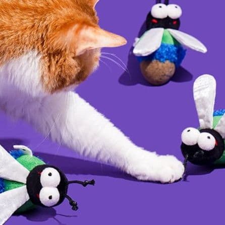 猫 おもちゃ むし型の猫じゃらし 遊びがいっぱい
