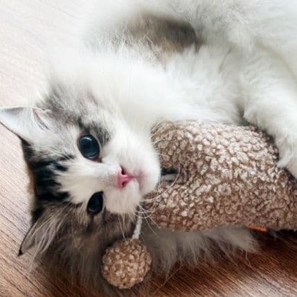 猫 おもちゃ もふもふしっぽの癒し猫じゃらし