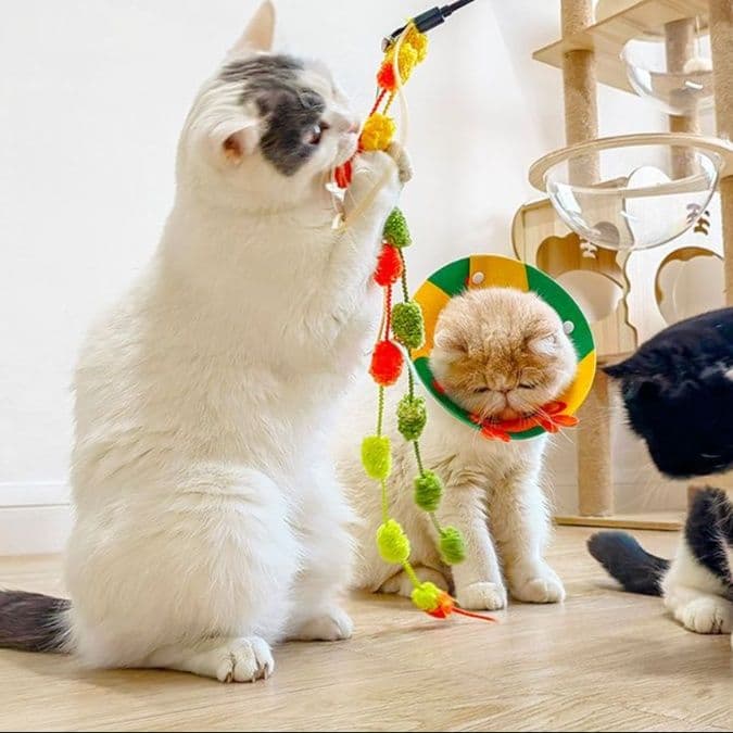猫 おもちゃ もふもふ玉つぶし猫じゃらし