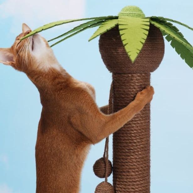 猫 おもちゃ ヤシの木風 癒やしの猫じゃらしポール