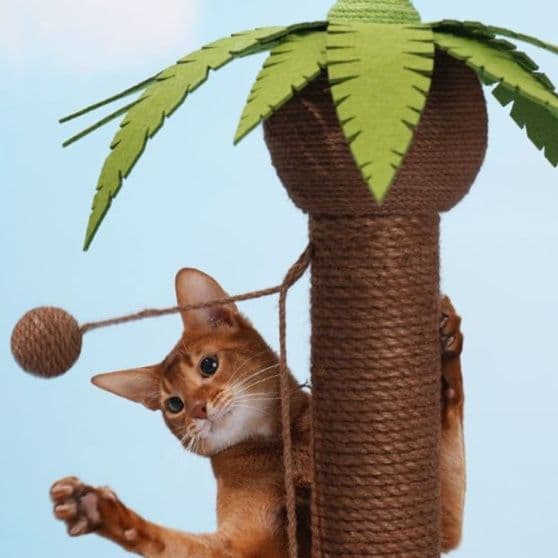 猫 おもちゃ ヤシの木風 癒やしの猫じゃらしポール