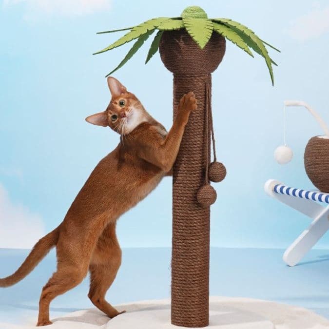 猫 おもちゃ ヤシの木風 癒やしの猫じゃらしポール