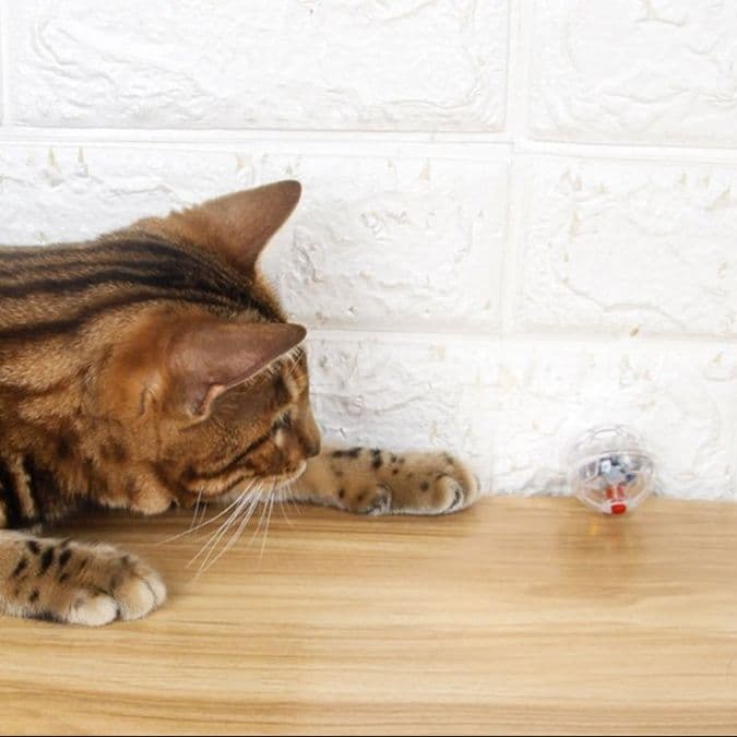 猫 おもちゃ 光る玉のキャットトーイ