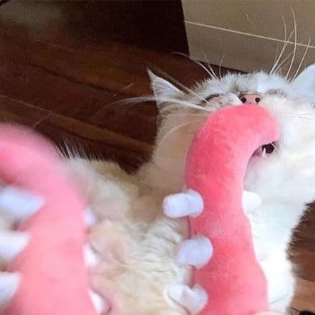 猫 おもちゃ 恐竜のしっぽ形 猫じゃらし