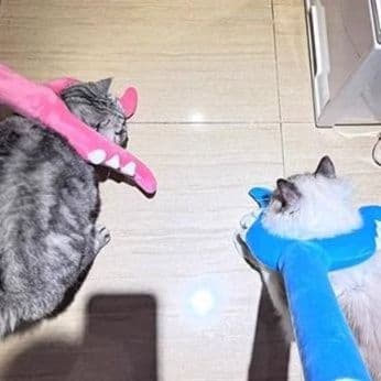 猫 おもちゃ 恐竜のしっぽ形 猫じゃらし