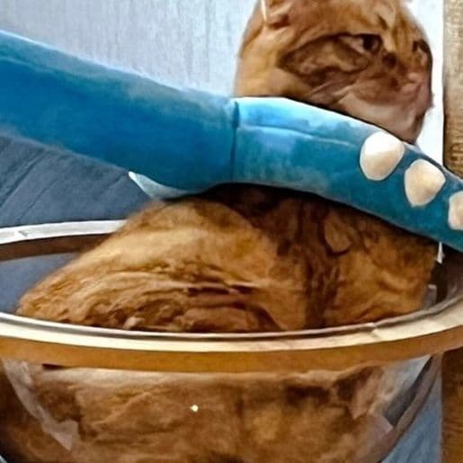 猫 おもちゃ 恐竜のしっぽ形 猫じゃらし