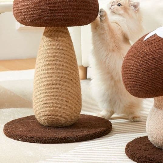 猫 おもちゃ キノコ型 据え置き 猫じゃらし