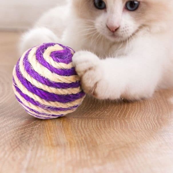 猫 おもちゃ 遊び心くすぐるまるまる麻球（まきゅう）