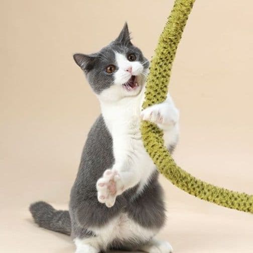 猫 おもちゃ メキシカンヘビくん猫じゃらし