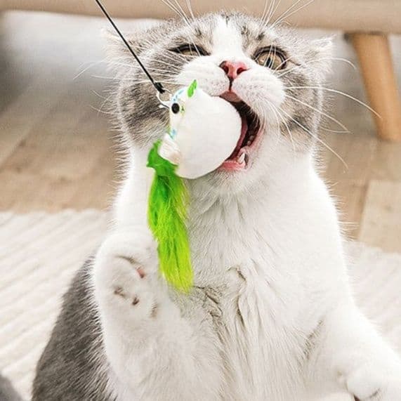 猫 おもちゃ 天然羽根のしなやか猫じゃらし