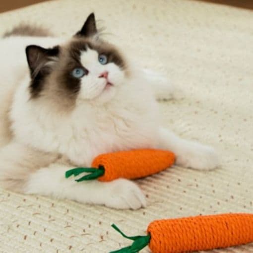 猫 おもちゃ にんじんシャカシャカ おさかな猫じゃらし