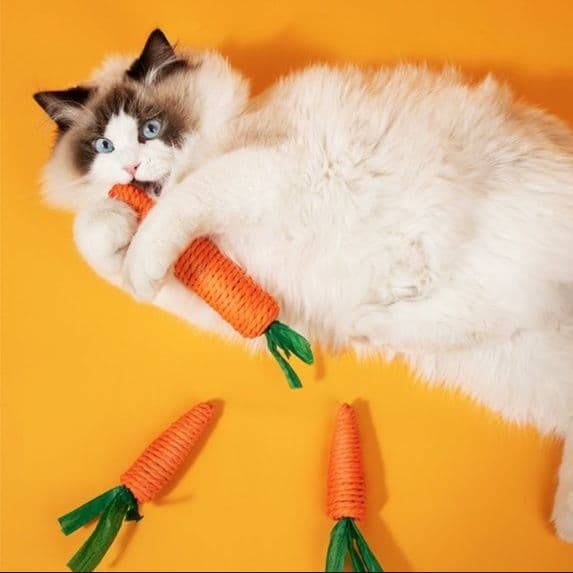 猫 おもちゃ にんじんシャカシャカ おさかな猫じゃらし