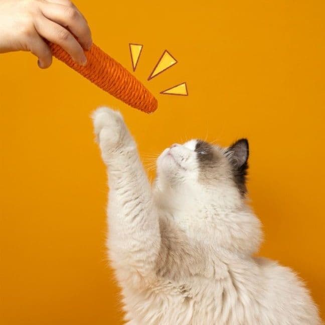 猫 おもちゃ にんじんシャカシャカ おさかな猫じゃらし