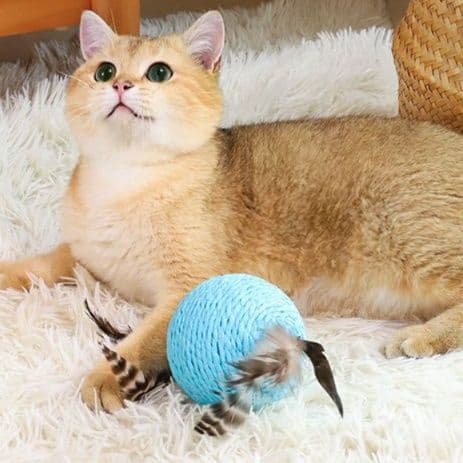 猫 おもちゃ ふわもこ羽根玉 猫じゃらし