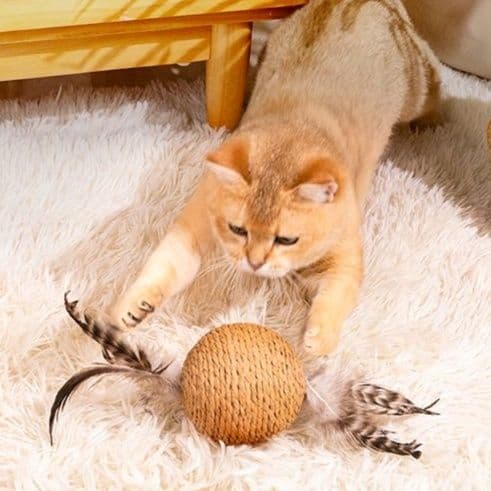 猫 おもちゃ ふわもこ羽根玉 猫じゃらし