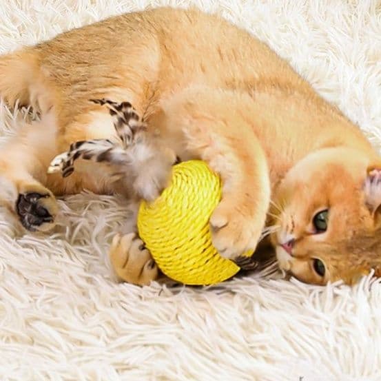 猫 おもちゃ ふわもこ羽根玉 猫じゃらし