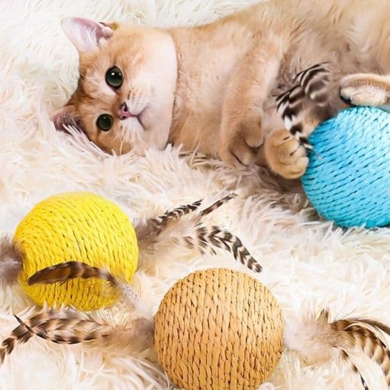猫 おもちゃ ふわもこ羽根玉 猫じゃらし