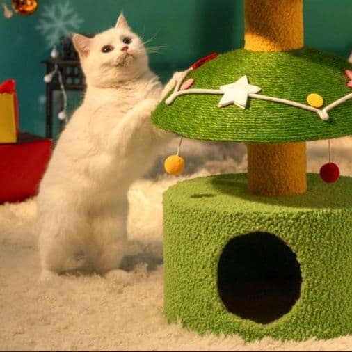 猫 おもちゃ クリスマスツリー型キャットハウス